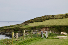 Colona Beach from SW Coast Path