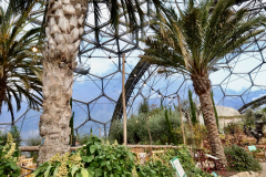 The Eden Project