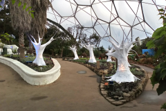 The Eden Project