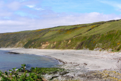 Vault Beach