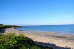 Towan Beach